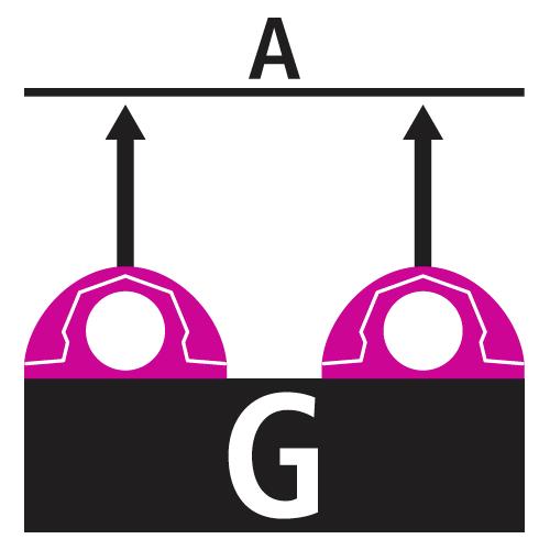 WLL Zweistrang in Ringebene WLL Zweistrang in Ringebene