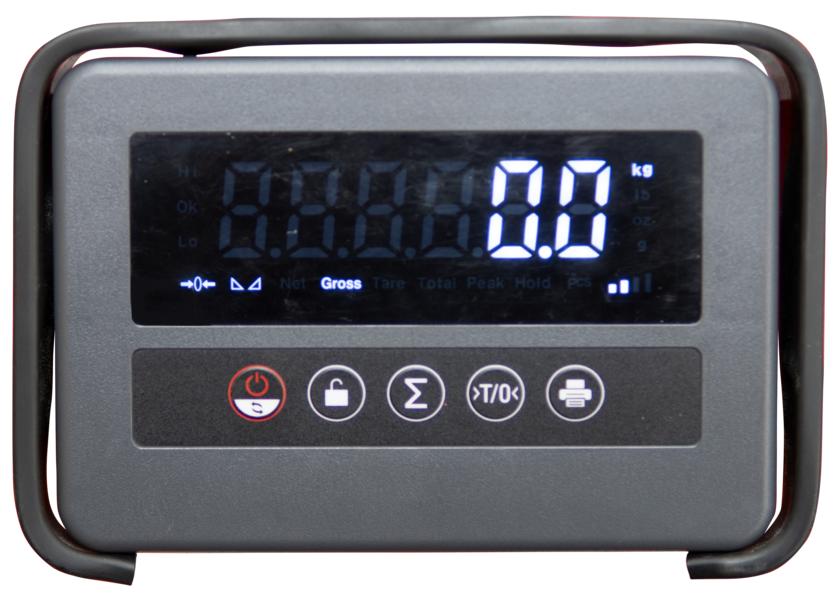 Ein hochwertiges Display mit 25 mm Ziffernhöhe