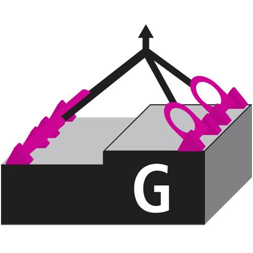 WLL Drei-/Vierstrang unsymmetrisch