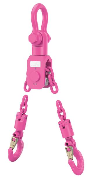 VIP-Kettenblock VCB-16-20t