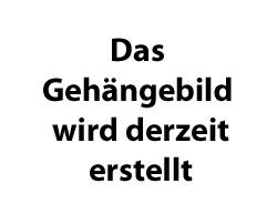 VIP-G1 VAK / VCGH / VV (VVS) / 28x2.000