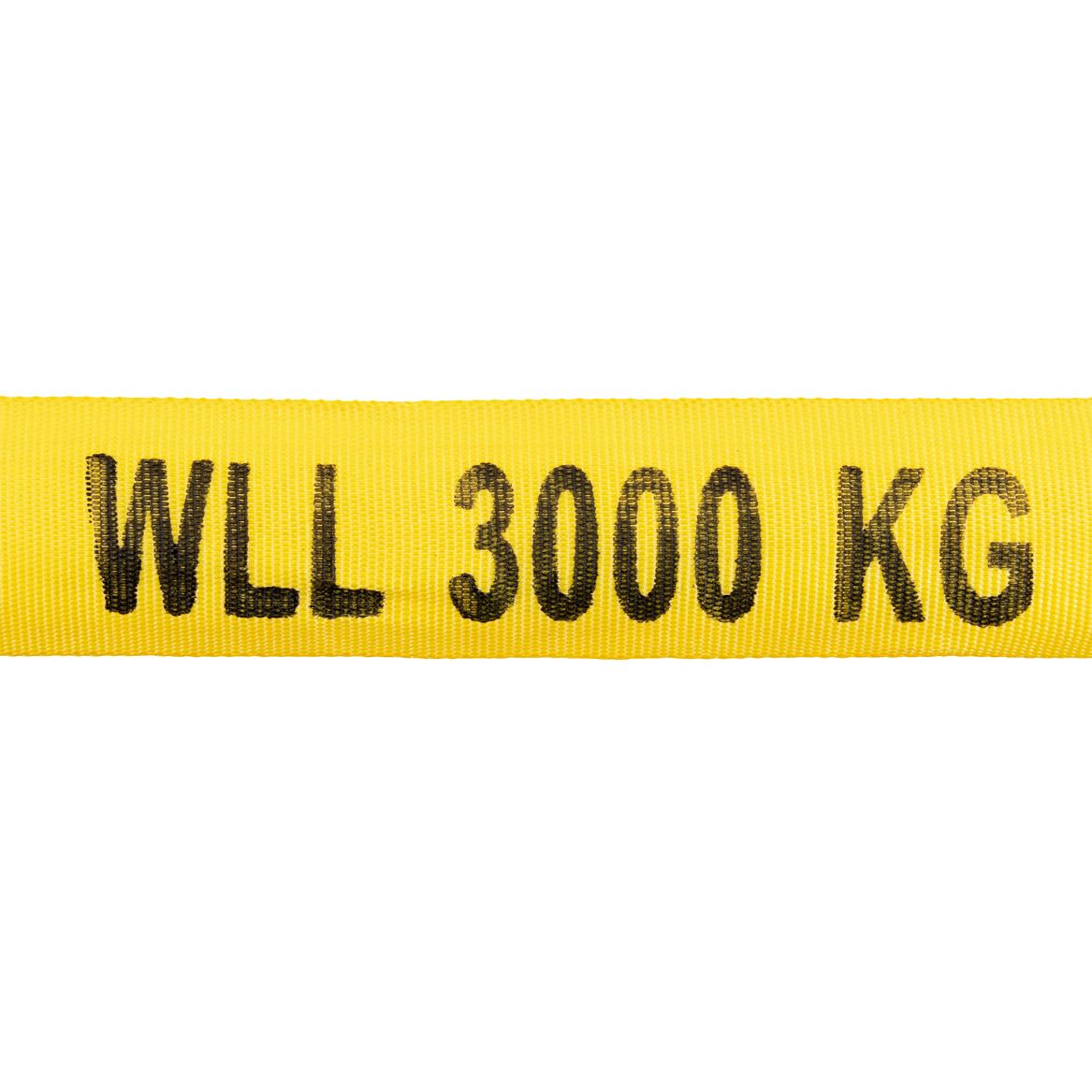 RS 3000 4m